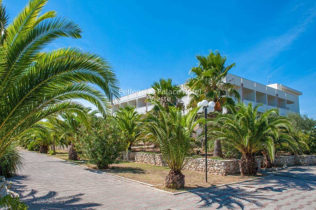 Pellegrino Palace Hotel Vieste Ngoại thất bức ảnh
